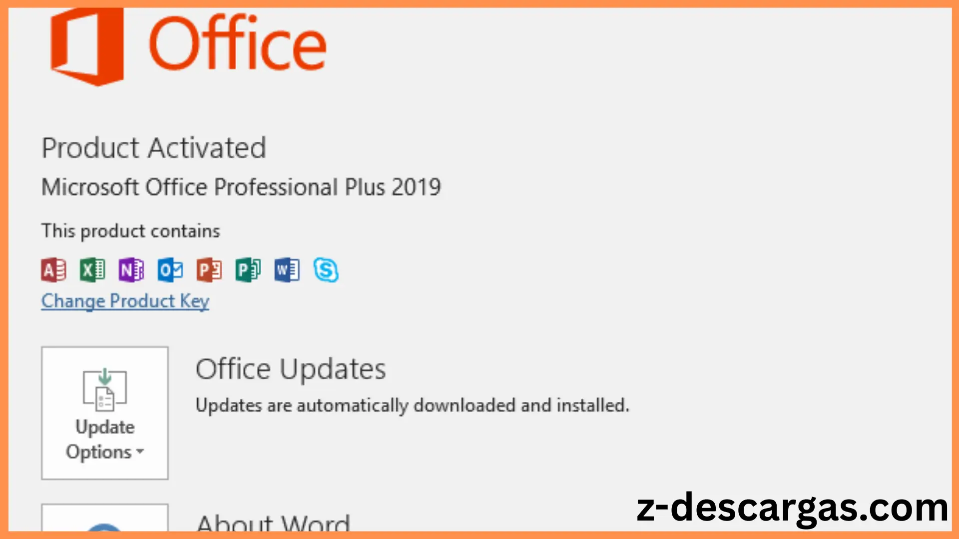 Office Professional Plus