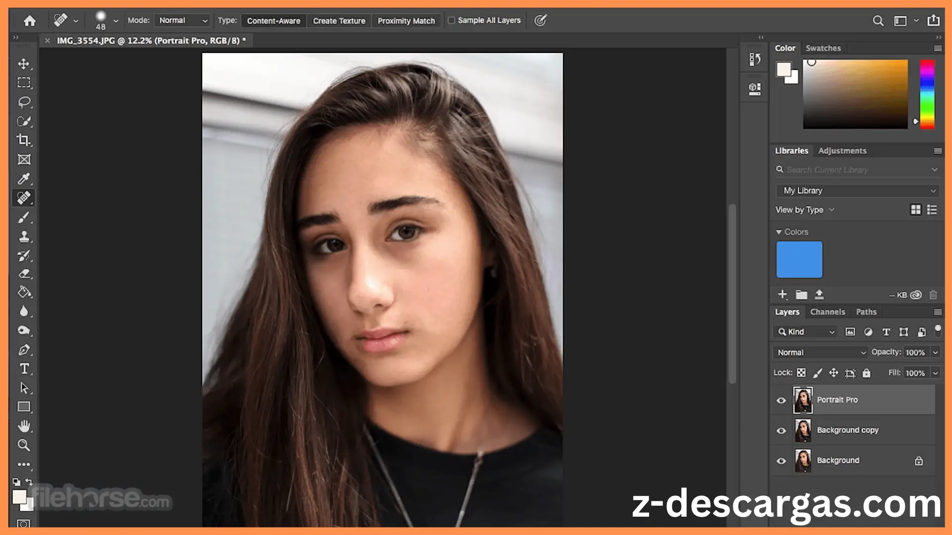 Portrait Pro