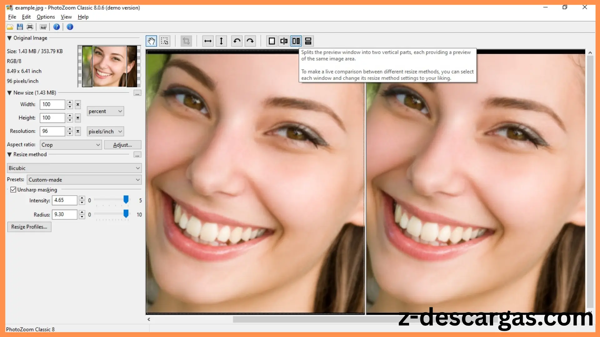 Benvista PhotoZoom Classic