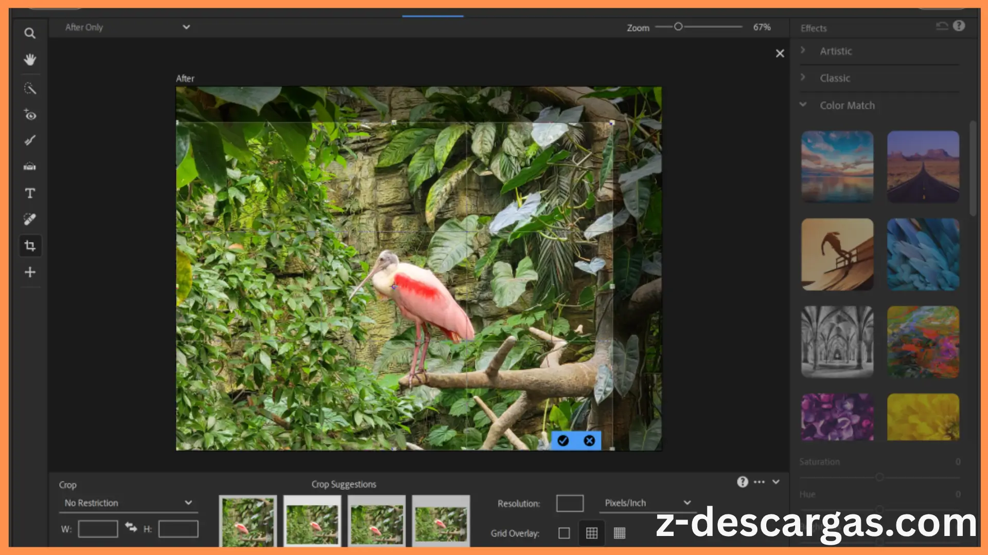 Adobe Photoshop Elements 