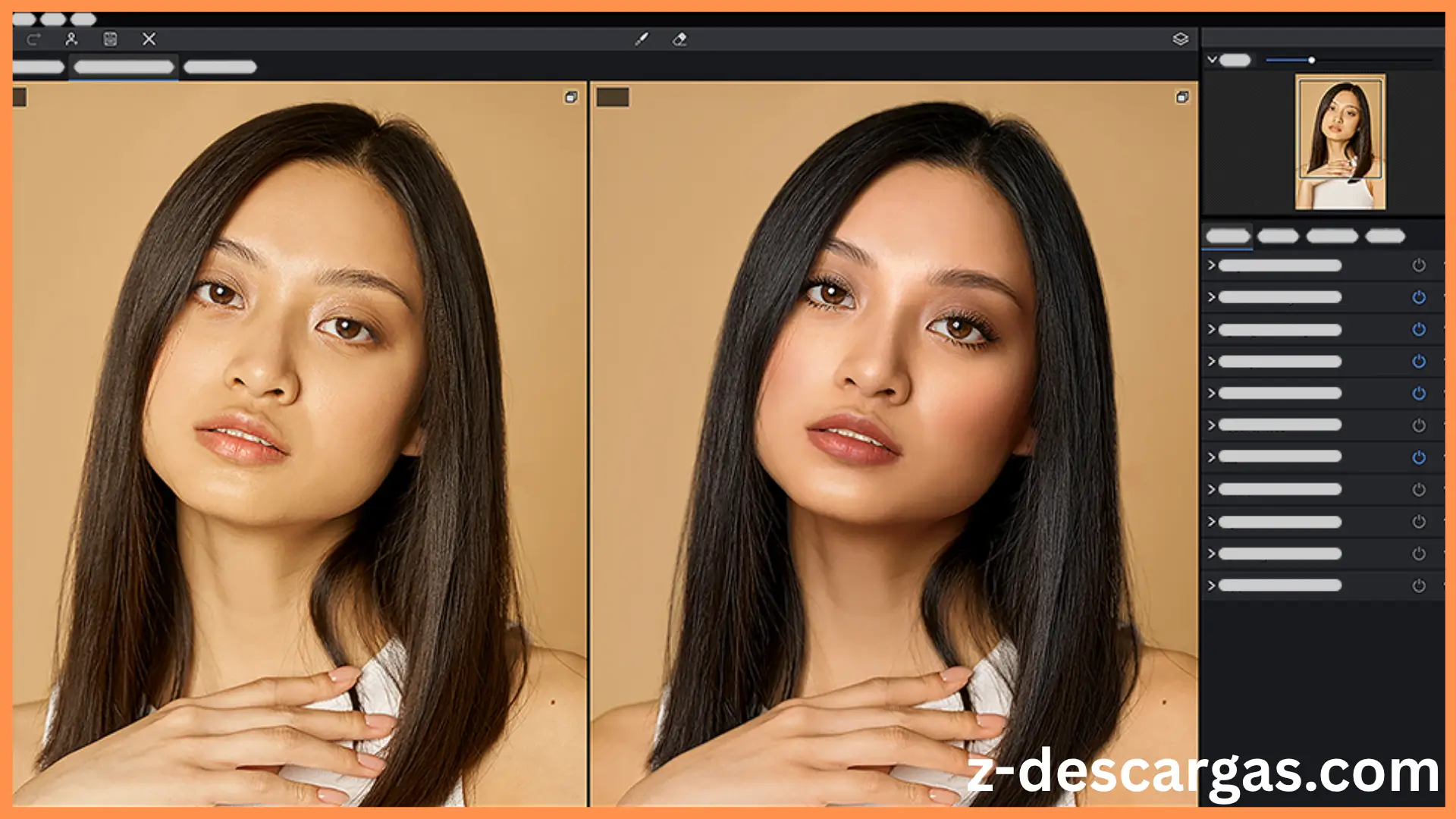 Portrait Pro