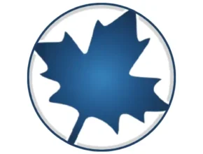 Maplesoft Maple 2025