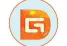 DiskGenius Professional